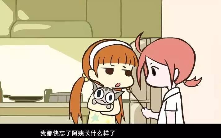 用了6年的时间追了这部动画，但它只更新了26集