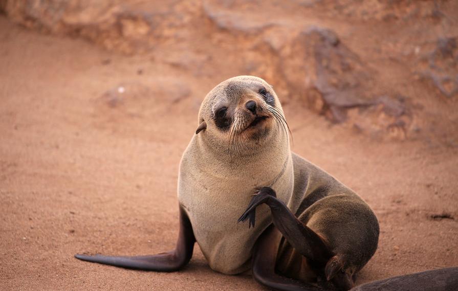 来到纳米比亚，你会知道什么才是非洲应有的样子！