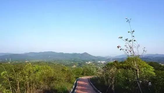 花如此多娇,花都如此多娇全文免费阅读