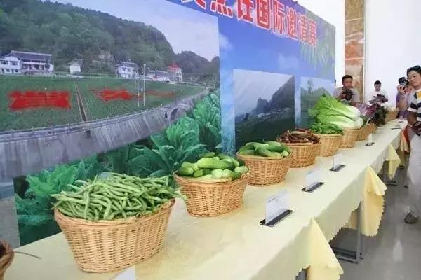 广元朝天曾家山美食,广元曾家镇美食