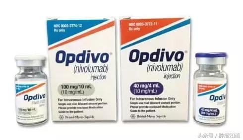 免疫治疗肝癌的治愈率多少 (免疫治疗早期肝癌的治愈率)