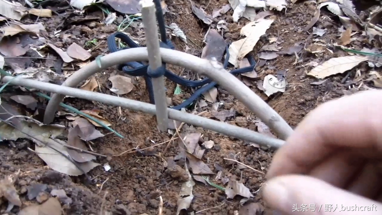 荒野求生下陷式野兔野鸡吊脚套陷阱