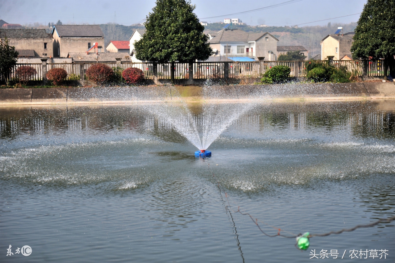 山区农村适合什么致富项目,适合农村小型养殖的致富项目