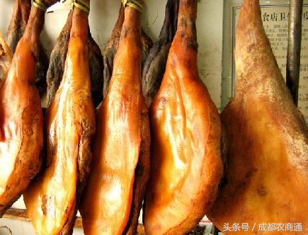 辽宁特种野猪养殖,特种野猪与纯种野猪的养殖前景