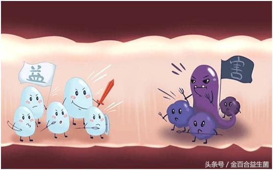 嘿！你知道宝宝什么时候应该补充益生菌呢？