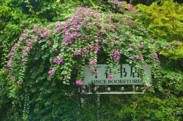 厦门放松养生,厦门放松的民宿