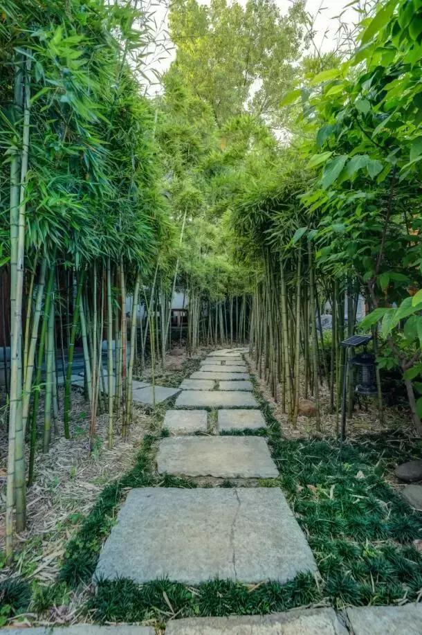 转型升级看美宿|闲庭——任门外风吹雨打,我自胜似闲庭信步