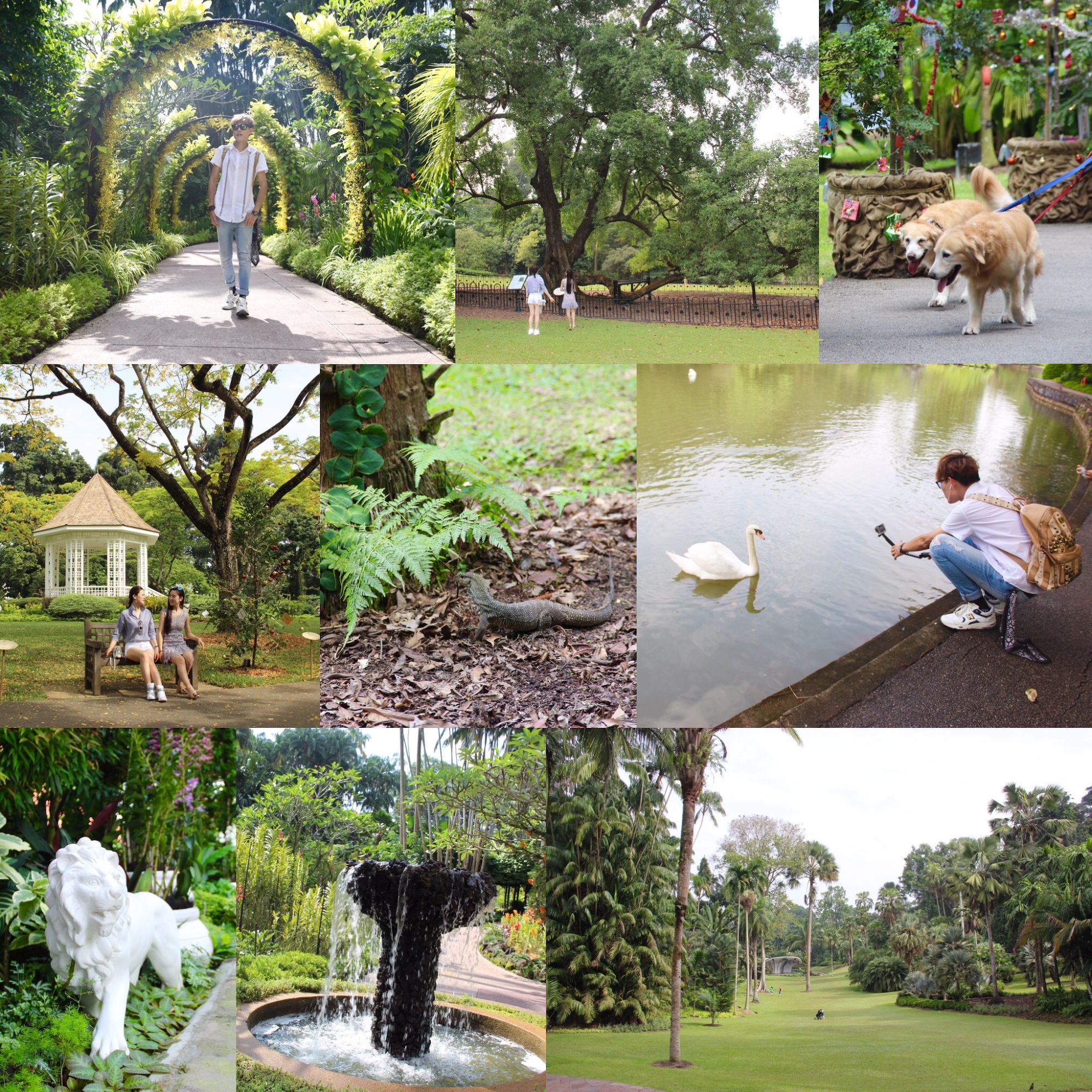 新加坡七天旅游攻略,7天新加坡之旅