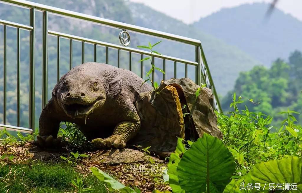 顶着烈日来一次漂流,顶着烈日前行