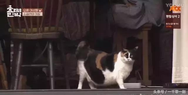 国民妖精的成长经历,国民妖精