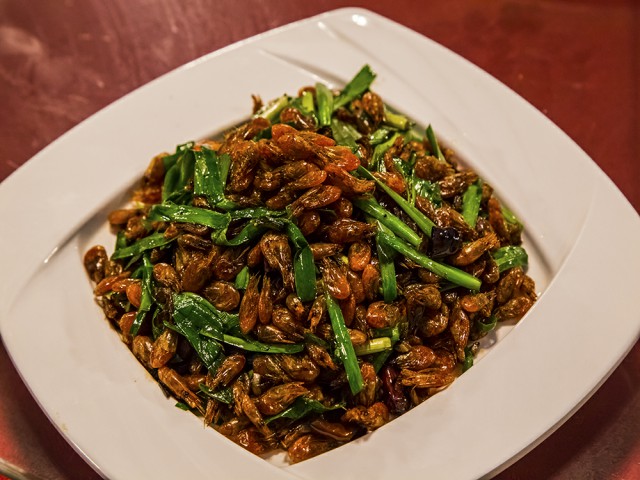 农家院精选评价,精品农家乐温泉住宿