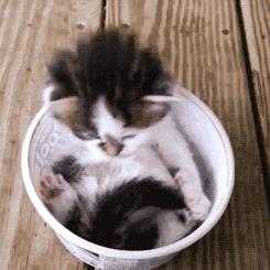 夕阳下的奔跑是我逝去的青春出处,我想起那天夕阳下的奔跑出自哪里