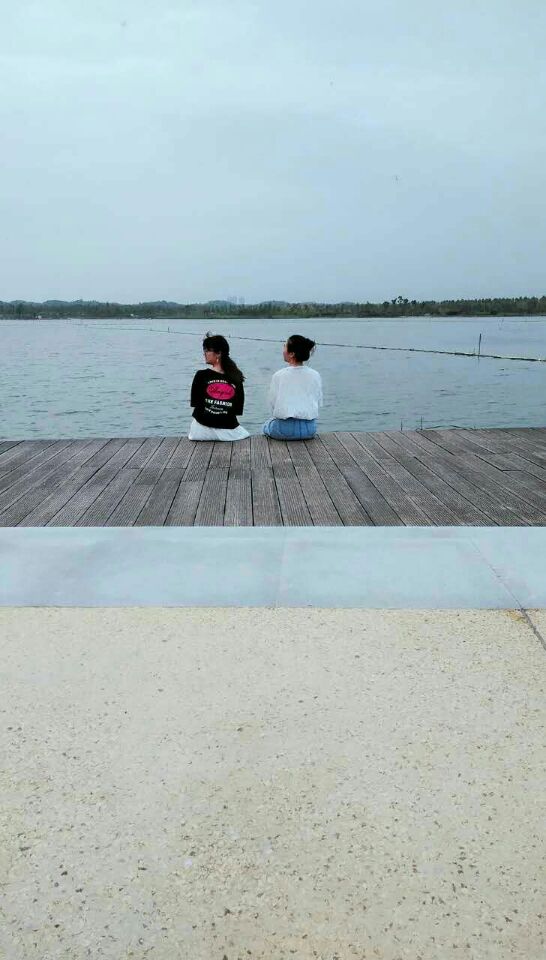 解锁谷歌学术,GoogleScholar的新方式