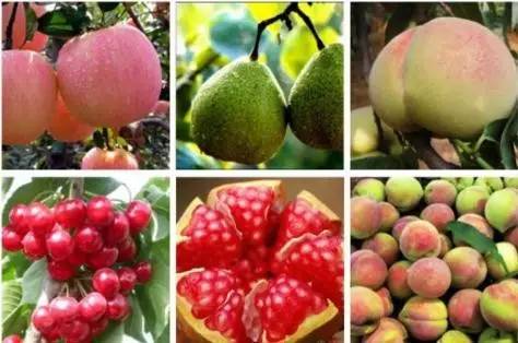 烟台哪个区最值得去,山东烟台值得去吗