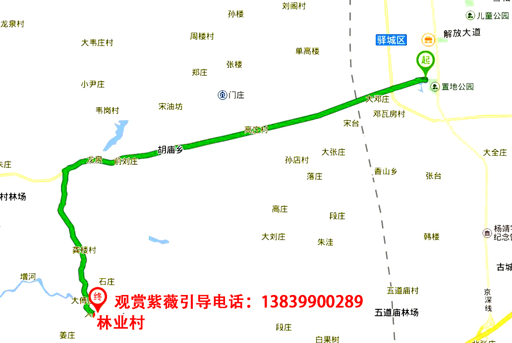 紫薇花开满庭院,紫薇花盛开的季节