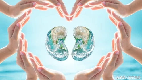 如何通过尿液观察肾脏健康,尿液少如何保护肾脏功能