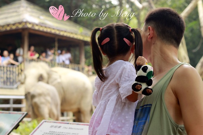 广州长隆水上乐园亲子游攻略视频,珠海长隆海洋快速通道亲子游攻略