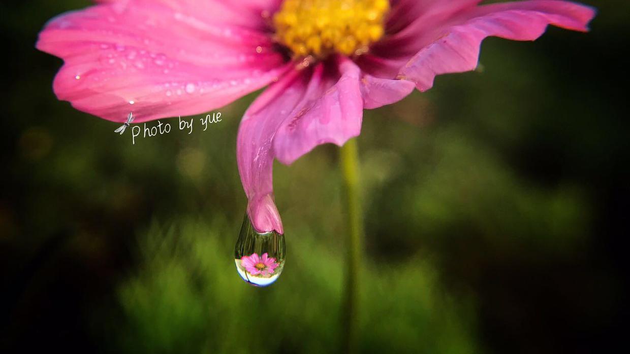 在照片上制作印章水印,照片怎么加像印章的文字