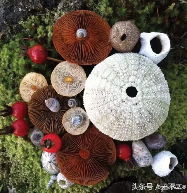 开挂的人生是要靠自己,开挂的人生从来绝非偶然