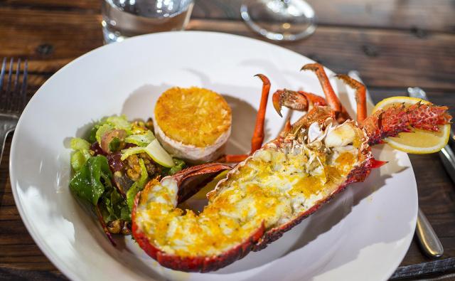 澳大利亚鲍鱼新西兰鲍鱼,澳大利亚顶级鲍鱼