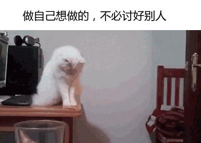 别跟我谈什么梦想我只想躺赢,别跟我谈什么梦想