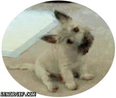 大学专业不对口的比例,大学专业不对口正常吗