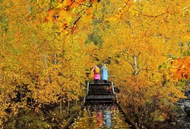 川西最美秋景,四川最美秋景