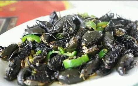 广东人天上飞的地上跑的,广东人吃天上飞的地上跑的能吃吗