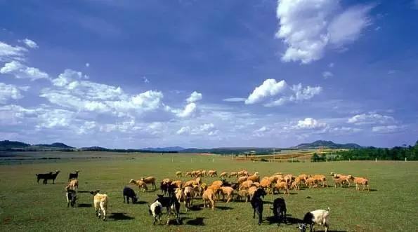 昆明超全的夏天避暑攻略,昆明古滇有趣的夏天避暑特点