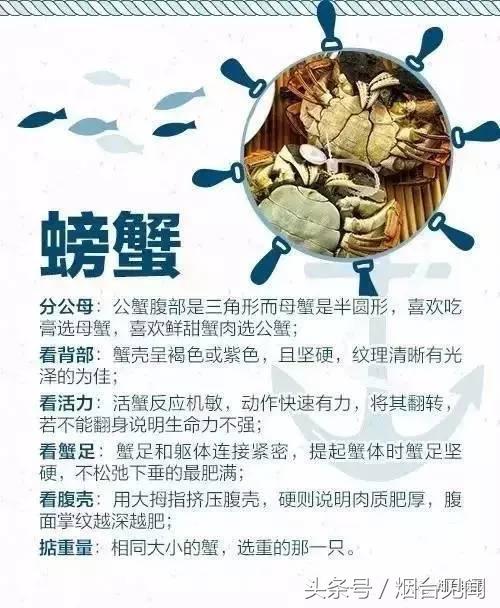 烟台哪里的海鲜便宜又新鲜,山东烟台一年四季的时令海鲜表