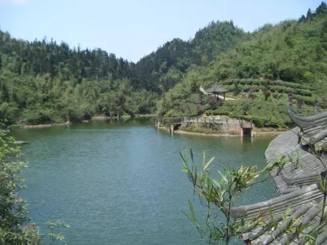 四川长宁竹海与赤水竹海,竹海风景区沐川