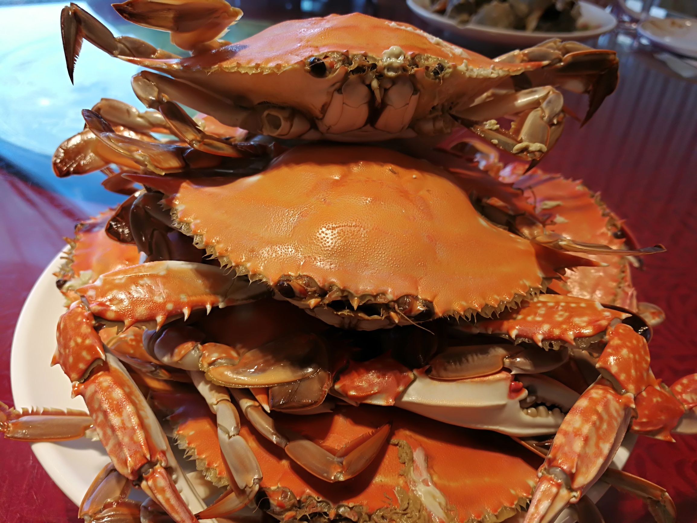 天津塘沽的回忆,天津塘沽名胜古迹