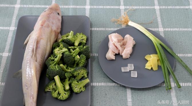 第一次见白丝鱼,第一次见到野生鱼