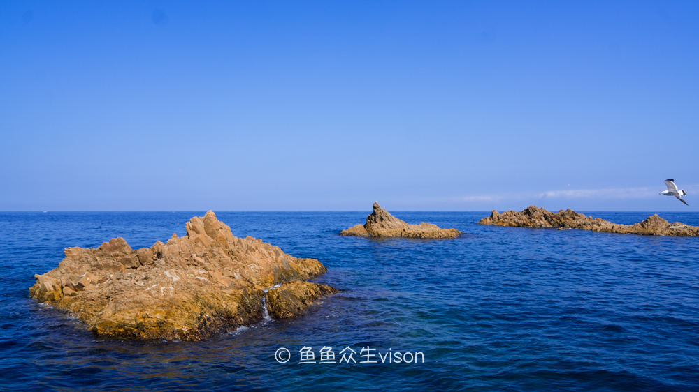 日本东京大阪最值得去的地方,日本大阪深度游攻略