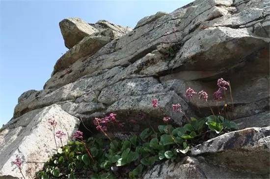 多彩阿勒泰哈巴河,多彩新疆阿勒泰禾木村