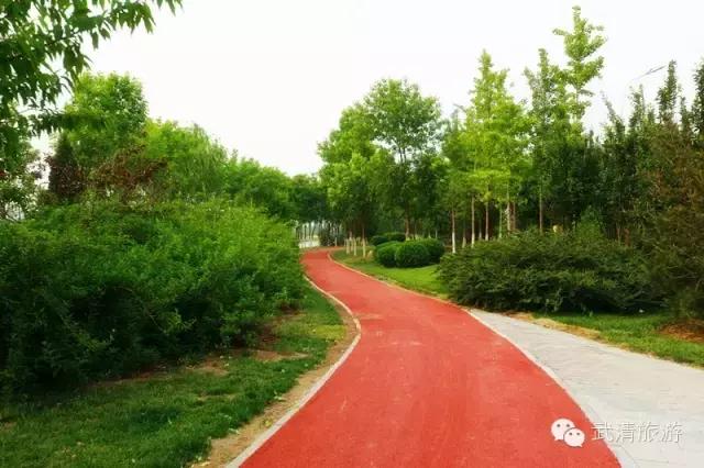 说走就走跟着抖音去旅行,说走就走出发视频