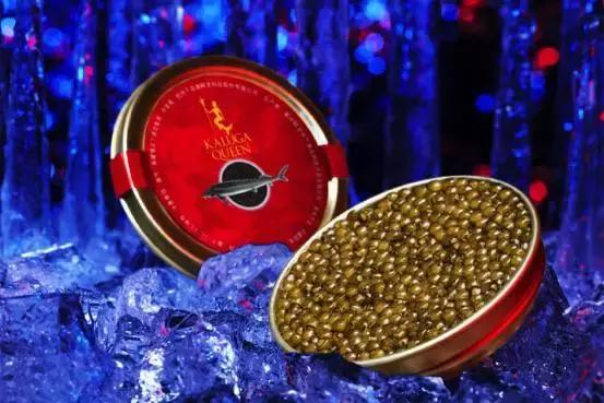 普通鲟鱼有鱼子酱吗,鲟鱼的卵是鱼子酱