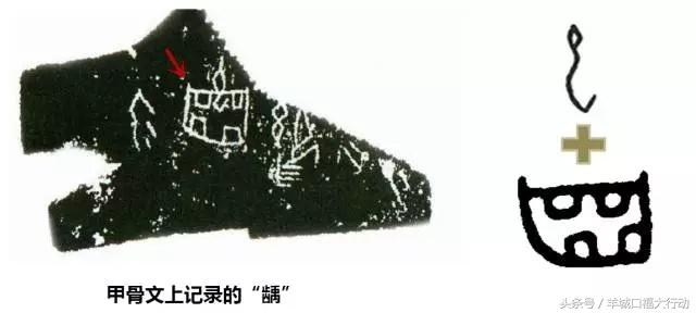 龋齿蛀牙有虫吗,科普蛀牙的形成