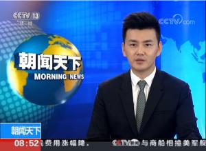 中国少年说语言大赛,少年中国说母语比赛