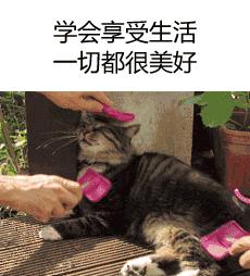 别跟我谈什么梦想我只想躺赢,别跟我谈什么梦想