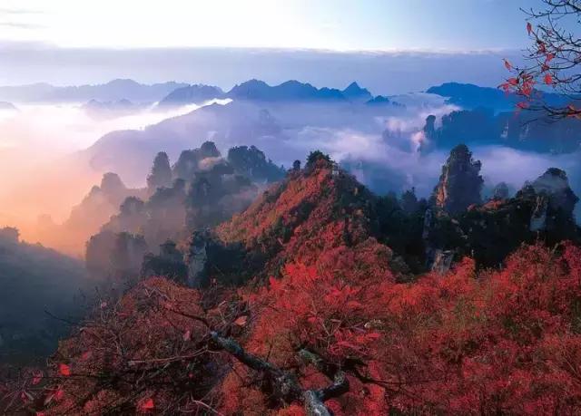 川西最美秋景,四川最美秋景
