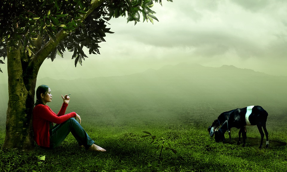 我爱八卦小说,我爱八卦文案