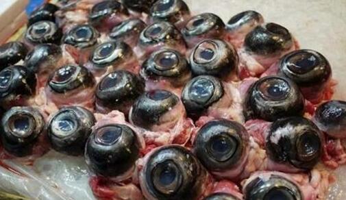 最恶心的海鲜是什么,最腥臭的海鲜是哪种海鲜
