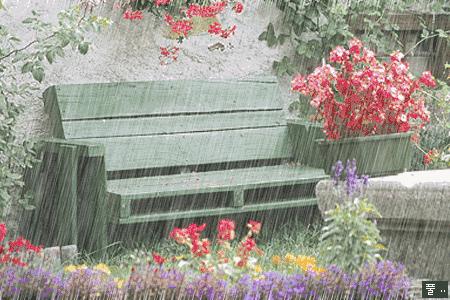 深圳天马微电子转业,天马离职后工资