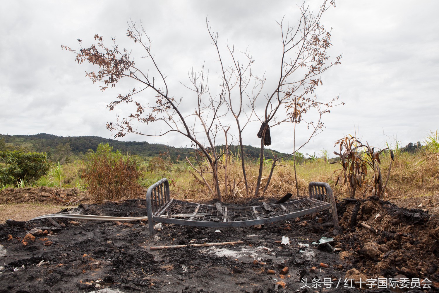 巴布亚新几内亚到澳大利亚有多近,巴布亚新几内亚到哪几个国家近