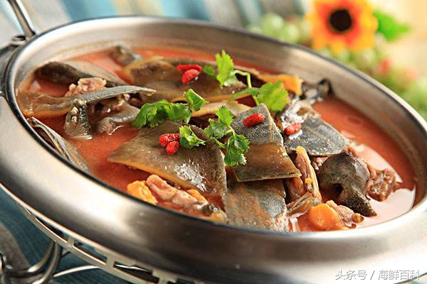 甲鱼有什么营养怎么杀,甲鱼怎么杀好吃又简单方法