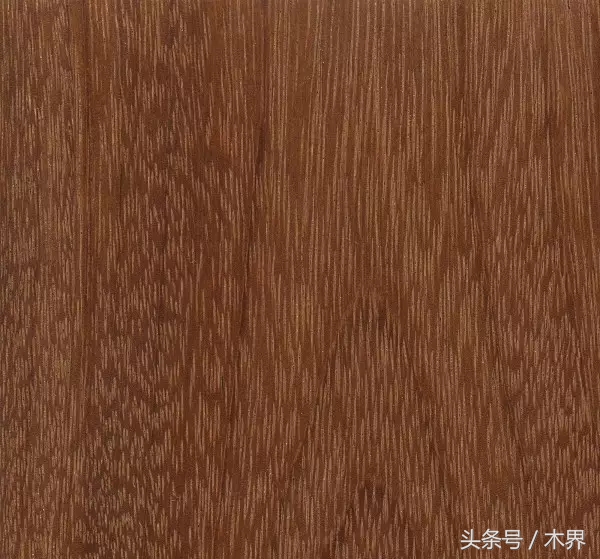 「木说」阔变豆（马卡考巴——Macacauba）木材