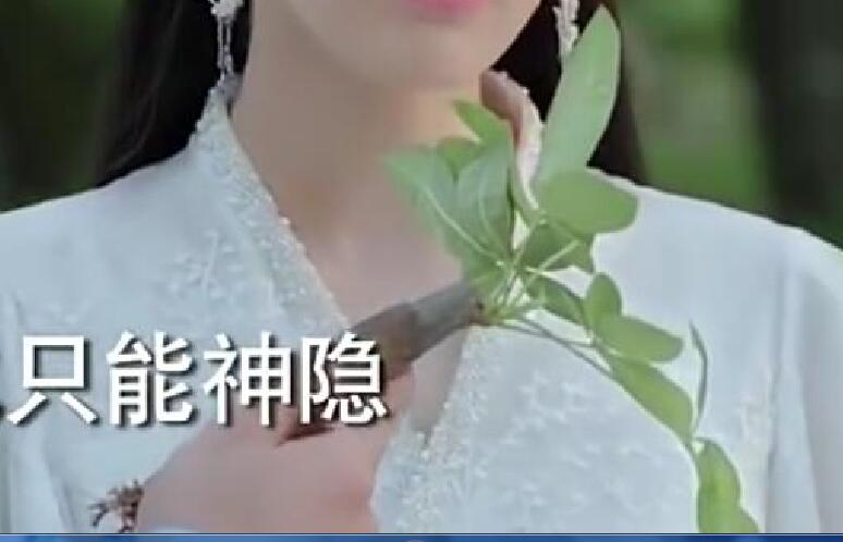 择天记丹药,择天记10大秘密