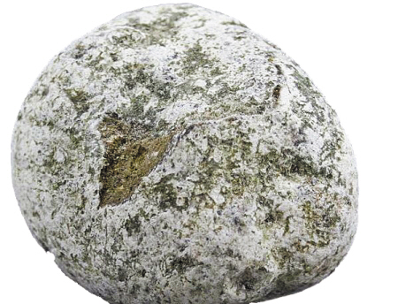 来自身边的“翔”,得知后你都可以做《女医》了!