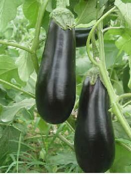 一次祛斑成功的经验,十年祛斑经验分享